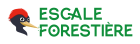 Logo_escale_forestiere_RVB_vert.png