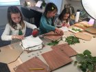 Ph_creation_d039un_herbier.jpeg