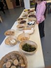 PXL_20260422_115316294.jpg