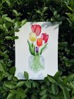 Tulipes_Zoe_Dumont.JPEG
