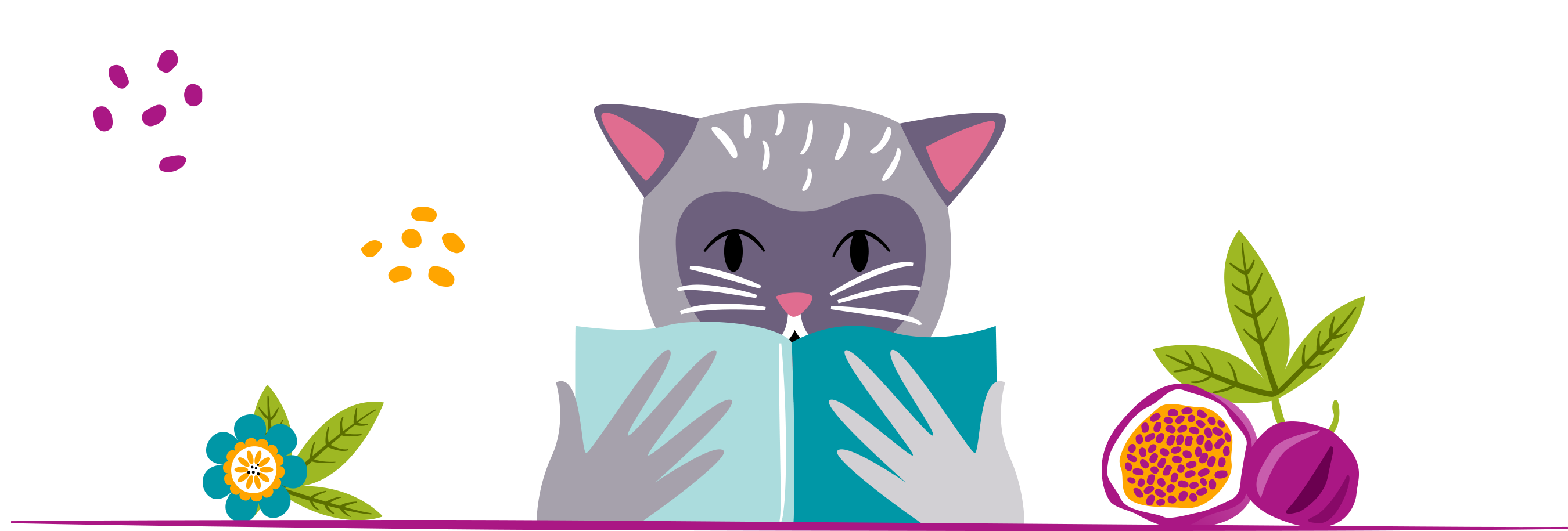 Catalogue des animations